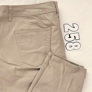 Lane Bryant Khaki pants